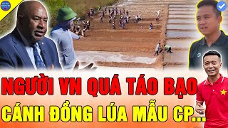 🔴LÃNH ĐẠO CHÂU PHI HOANG MANG Công Giáp Team Quang Linh Vlogs MẠNH TAY TRỒNG LÚA NƯỚC TRÊN ĐẤT CÁT [upl. by Otaner812]