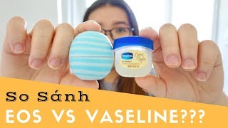 REVIEW I So Sánh Giữa Son Dưỡng EOS Son Trứng Và Vaseline [upl. by Anikram190]