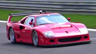 Ferrari F40 LM INSANE SOUND  Accelerations Fly Bys and Backfiring [upl. by Eicam769]