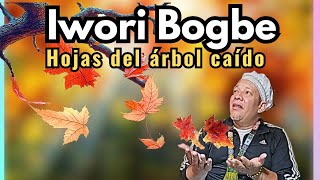 Iwori Bogbe  estos CONSEJOS te AYUDARÁ a VIVIRLO Iwori Ogbe [upl. by Rorrys166]