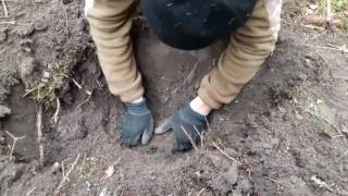 Metal detector WW2Lettlandkurlandkessl15 km Hiking [upl. by Phelia140]