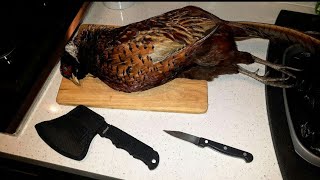 Game Preparation  Pheasant [upl. by Innep427]