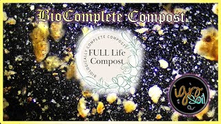 Full Life Compost Qualified [upl. by Enailil]