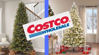 Costco Christmas Trees Are Beautiful [upl. by Hazard]