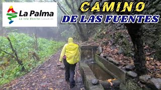 Camino de las FuentesLa Palma HikingWalking San PedroShrinesRainforestVolcano [upl. by Brunell416]