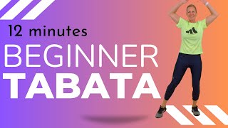 12 Min TABATA CARDIO HIIT WORKOUT  No Equipment No Jumping No Floor Work [upl. by Ivanah]