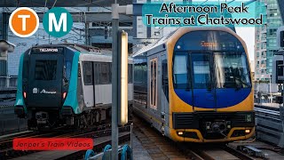 Sydney Trains Video 146  Sydney Metro Video 3  Afternoon Peak at Chatswood [upl. by Ardua]