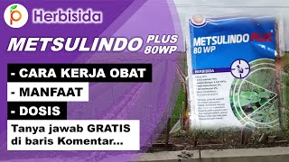 Review Keunggulan Herbisida Metsulindo Plus 80 WP  Cara Mengendalikan Rumput Padi [upl. by Aldrich]