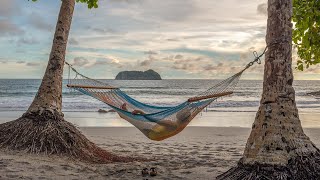 Welcome to Arenas Del Mar The Only Luxury Resort in Manuel Antonio — Right On the Beach [upl. by Johnette902]