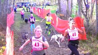 2016 Dirty Dog Dryland Derby Canicross race [upl. by Naejamron]