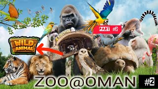 zoo visit second part watch now and subscribe🥰🥰arabic discoveroman animals lionoman [upl. by Anelliw213]