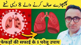 Top 8 Herbs for Lung Health Clearing Mucus COPD and Killing Viruses [upl. by Ahsilad717]