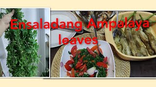 Ensaladang Ampalaya leaves [upl. by Cofsky485]