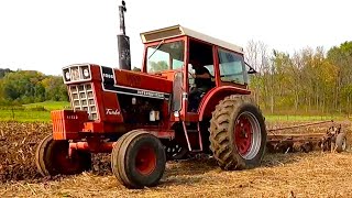 Moldboard Plowing with The International 1066 and Five Bottom Plow [upl. by Kevon]