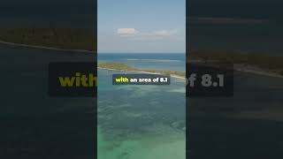 5 Smallest Countries in the World 🌍 SmallestCountriesGlobalTravel DiscoverNation shortsvideo [upl. by Trofmoc]