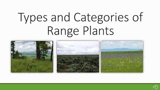 Rangeland Plant Basics [upl. by Coh]