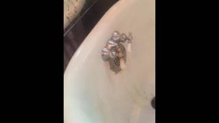 Claw foot tub faucet replacement [upl. by Ydahs]