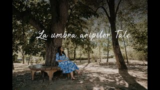 La umbra aripilor Tale  Deea [upl. by Beau]