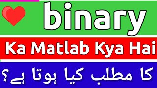 Binary Meaning In Urdu  Binary Ka Matlab Kya Hota Hai  Binary Ka Matlab  Binary Ka Meaning Kya Ha [upl. by Farlie261]