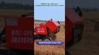 Hay baler，Im professional manufacturerforage cattlefarm machine baler ensilage [upl. by Odidnac]