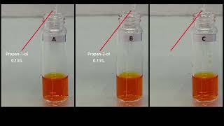 Oxidation of Alcohols and Breathalyzer [upl. by Tuttle]