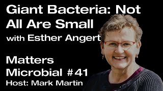 Matters Microbial 41 Giant Bacteria Not All Are Small with Esther Angert [upl. by Rausch]