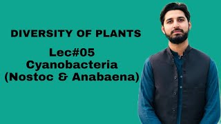 Lec05 CyanobacteriaNostocAnabaenaDiversity of Plants HS BIOLOGY [upl. by Lisle]