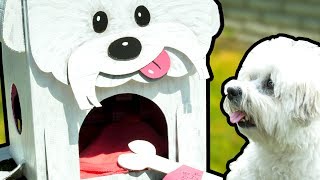 How to Make the Most Amazing Dog House  DIY Cardboard Crafts on Box Yourself [upl. by Everett]