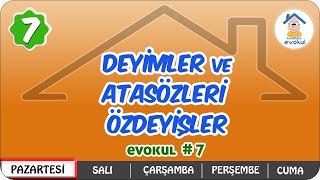 Deyimler Atasözleri ve Deyişler  7 Sınıf uzaktaneğitim evokul Kampı [upl. by Adnala]