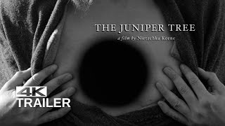 THE JUNIPER TREE Trailer 1990 [upl. by Aikrehs]