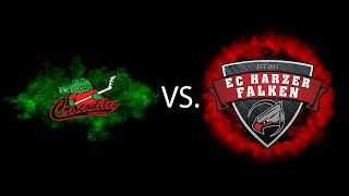 Crocodiles Hamburg vs Harzer Falken [upl. by Mochun]