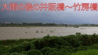 【 うろうろ和歌山 】 紀ノ川 井阪橋  竹房橋 あたり 台風11号 の 大雨 の後の 和歌山県 紀の川市 [upl. by Gun]