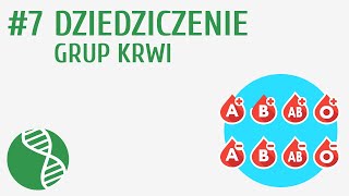 Dziedziczenie grup krwi 7  Genetyka [upl. by Ikciv699]