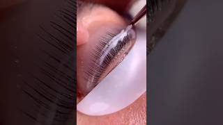 calendall wimpernlifting beautytipps kosmetik beautysalon [upl. by Armin920]