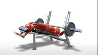 Exercise Videos Barbell Decline Bench Press [upl. by Tim]