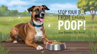 How to Stop Dog from Eating Poop Home Remedies  Pet Care Guide [upl. by Kcirdor]