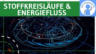 Stoffkreisläufe amp Energiefluss  Begriffe Prozesse biochemisch geochemisch biogeochemisch u a [upl. by Hpseoj]