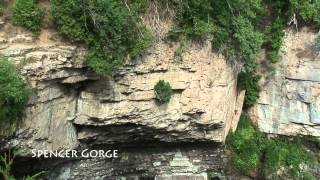 The Giants Rib  Niagara Escarpment UNESCO World Biosphere Reserve [upl. by Nodnnarb]