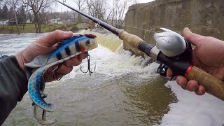 MUSKY FISHING FROM SHORE  Late Winter River Muskies [upl. by Rosaline527]