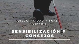 2 Discapacidad Visual  Sensibilización y Consejos VISUAL [upl. by Reinertson962]