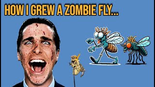 How I Grew A Zombie Fly Using Cordyceps Last Of Us [upl. by Woodhouse]