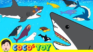 50MinㅣA collection of 5 stories about animals adventure under the seaㅣSea animals for kidsㅣCoCosToy [upl. by Kcirdled]