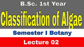 ৭ম শ্রেণির ইতিহাস ও সামাজিক বিজ্ঞান বার্ষিক মূল্যায়ন সমাধান 2023  মুক্তিযুদ্ধে আন্তর্জাতিক বিভিন্ন [upl. by Aisnetroh]