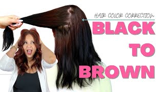 Black to Brown Box Dye Hair Color Correction  FULL HAIR COLOR CORRECTION TRANSFORMATION haircolor [upl. by Anitnelav284]