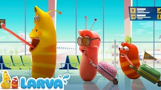 Larvas Animadas Nuevos Episodios 2022 🍬 1 Hora 🧀Larva Episodio Completo 🧇Larva Nuevos Capitulos 2022 [upl. by Devon]