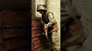 shortsvideo ww2 history [upl. by Colligan]