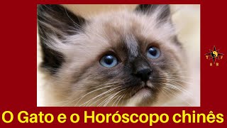 O Horoscopo Chines e Gato [upl. by Altaf]