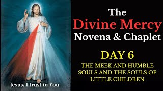 Divine Mercy Novena amp Chaplet  Day 6 [upl. by Refinaj334]