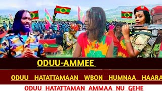 OduuAmmee Injifannoo Cululuqaa WBO Ammee Afaan Oromoo [upl. by Keely]