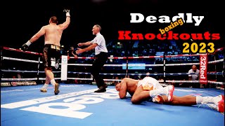 Deadly boxing knockouts September 2023 Canelo Benavidez boxing Joyce Zhang crawford [upl. by Haynor]